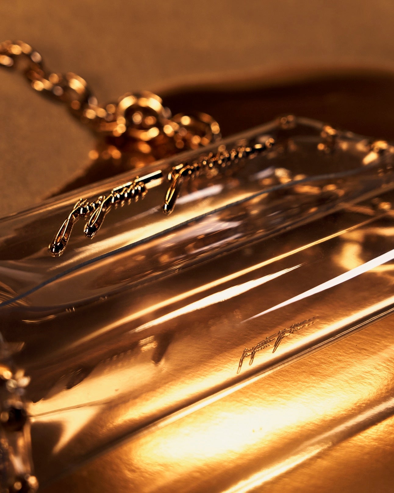 Amelia Bag Transparent Gold